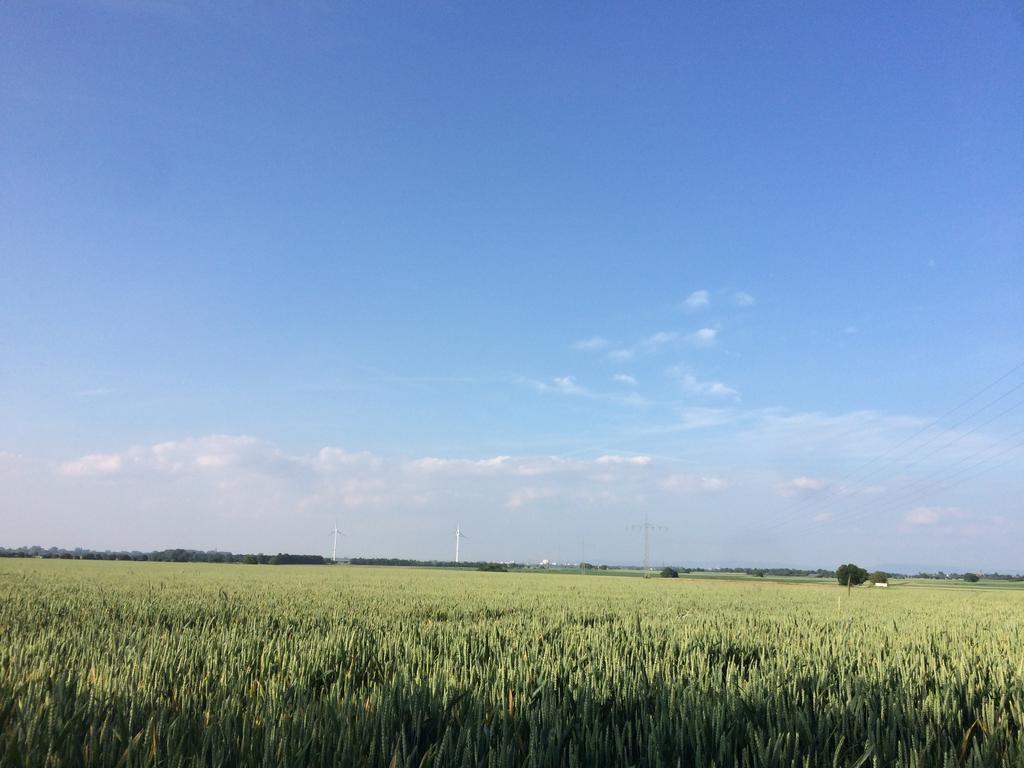 Schwegenheim Alte Heimat 아파트 외부 사진
