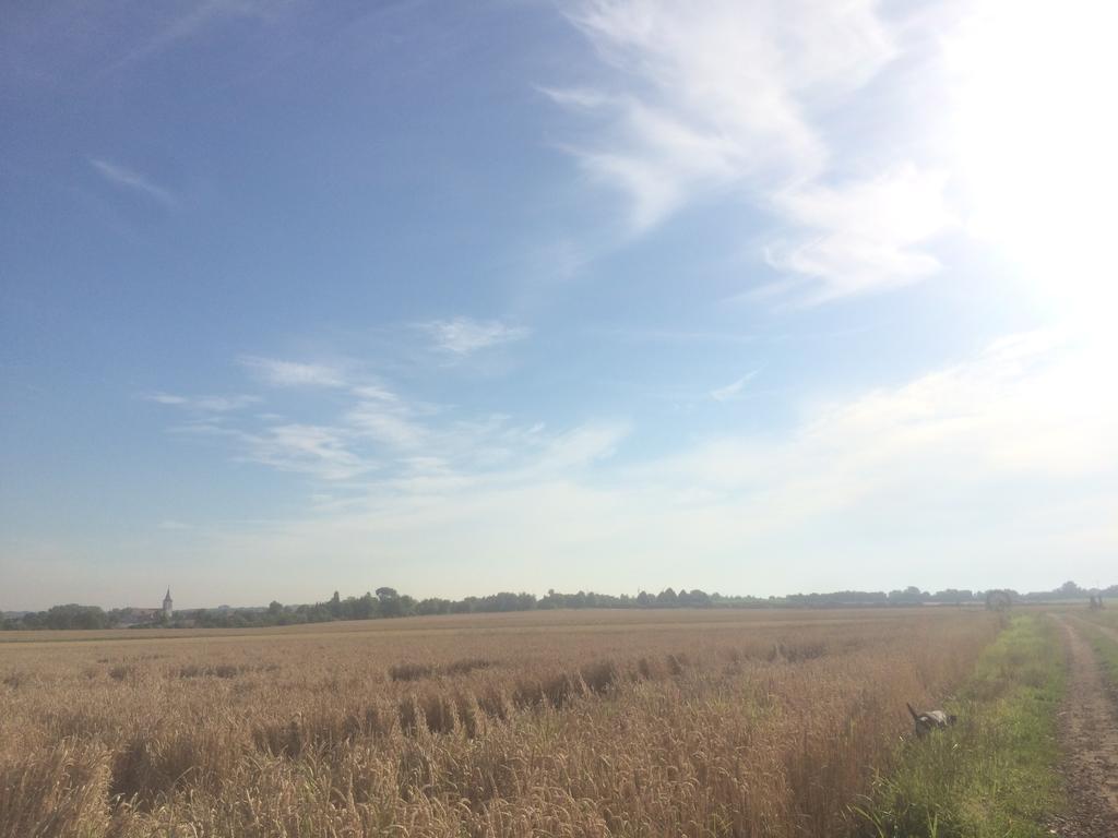 Schwegenheim Alte Heimat 아파트 외부 사진