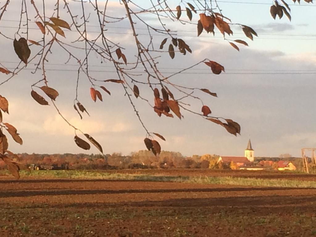 Schwegenheim Alte Heimat 아파트 외부 사진