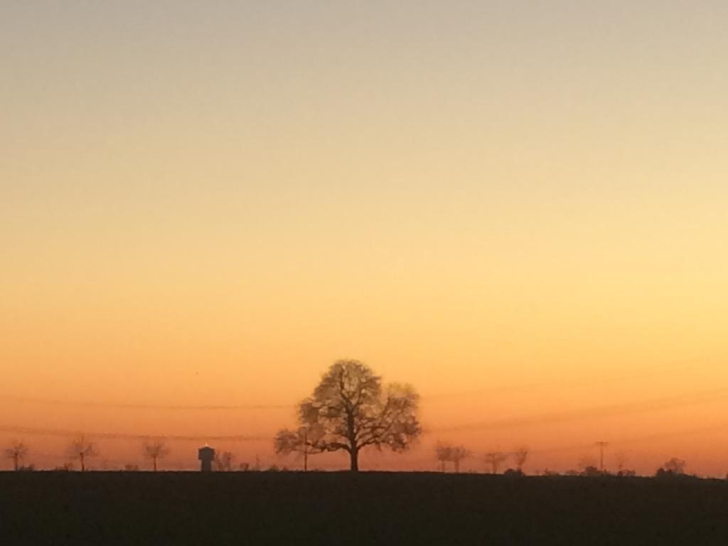 Schwegenheim Alte Heimat 아파트 외부 사진