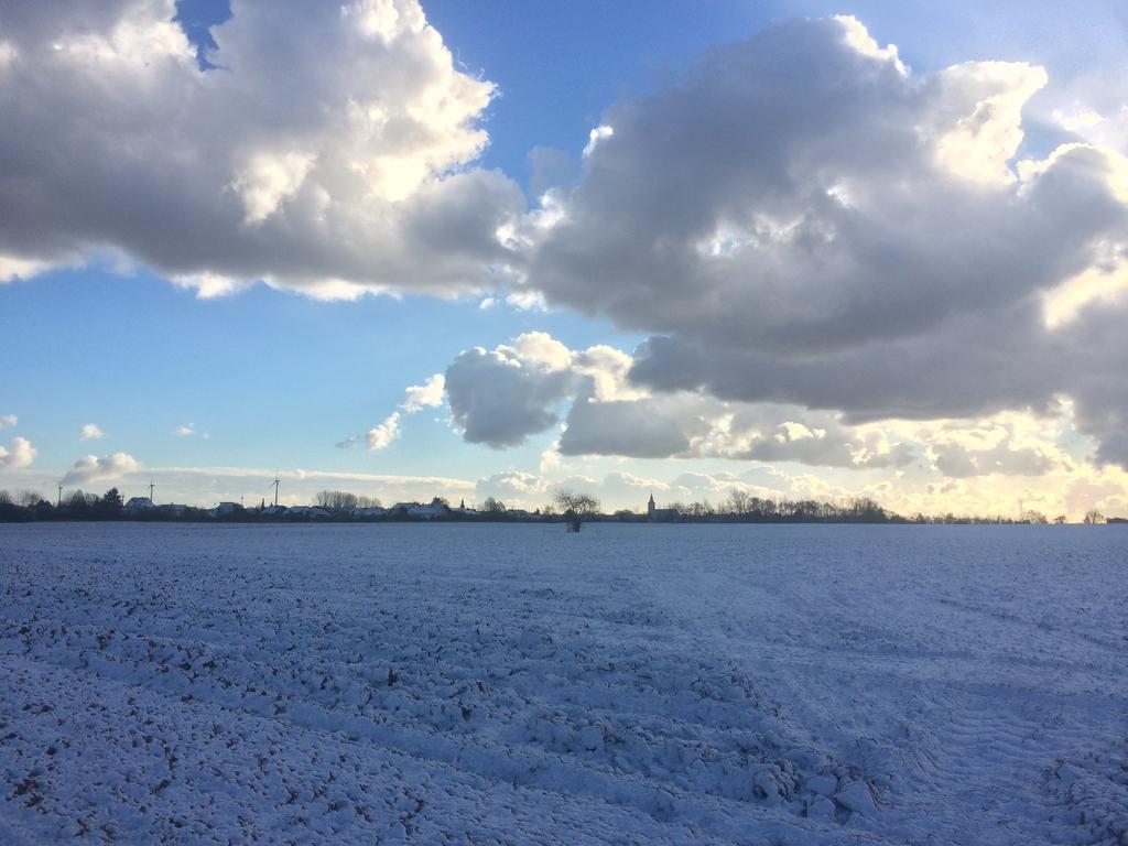 Schwegenheim Alte Heimat 아파트 외부 사진