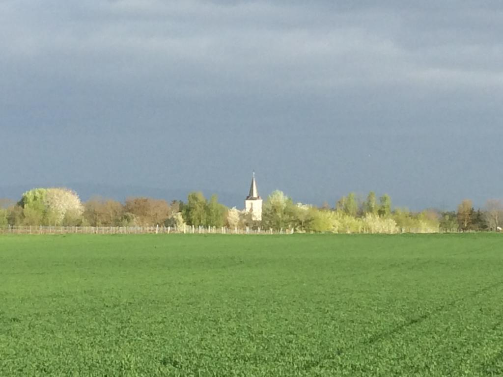 Schwegenheim Alte Heimat 아파트 외부 사진