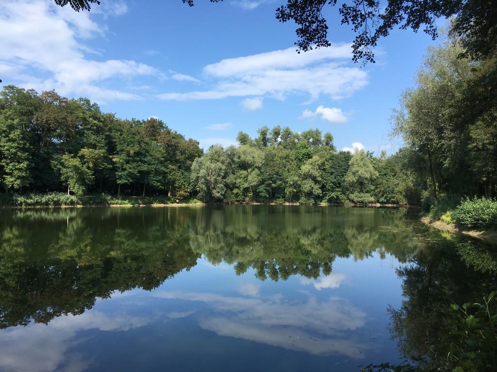Schwegenheim Alte Heimat 아파트 외부 사진